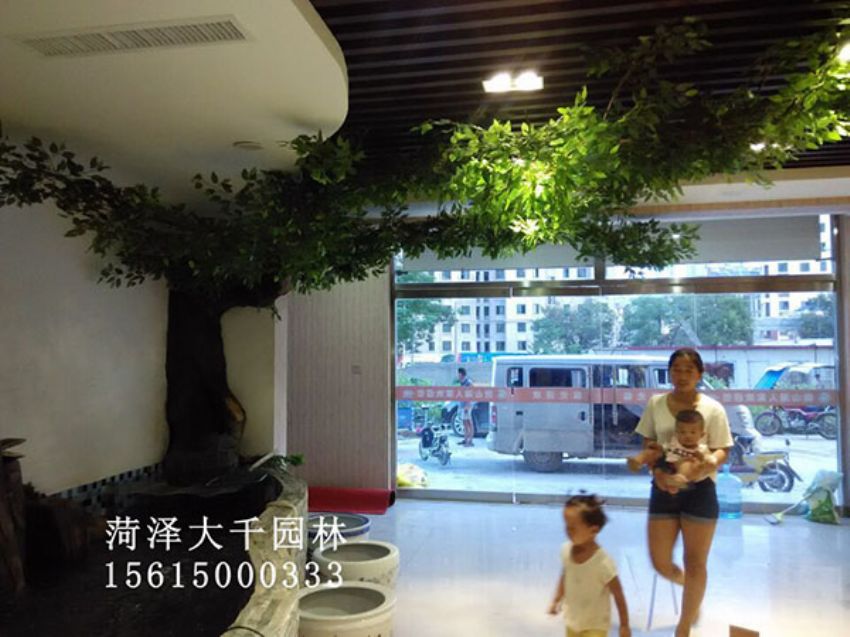 點擊查看詳細信息<br>標題：假樹 閱讀次數(shù)：1404