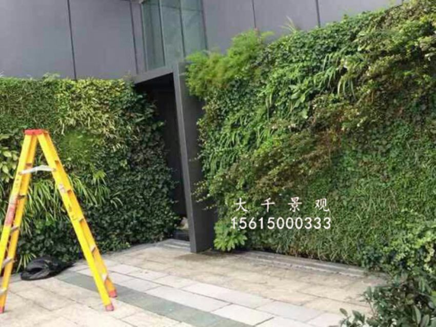 點擊查看詳細信息<br>標題：綠植墻 閱讀次數：1535