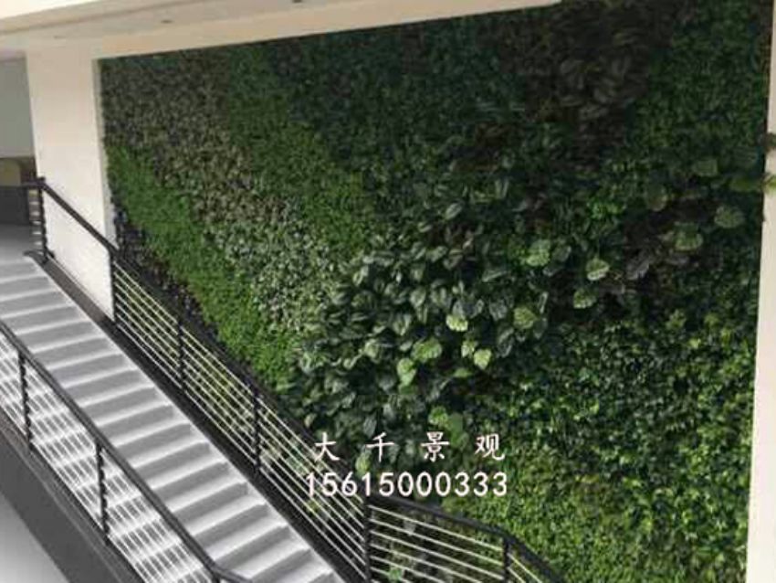 點擊查看詳細信息<br>標題：綠植墻 閱讀次數：1688